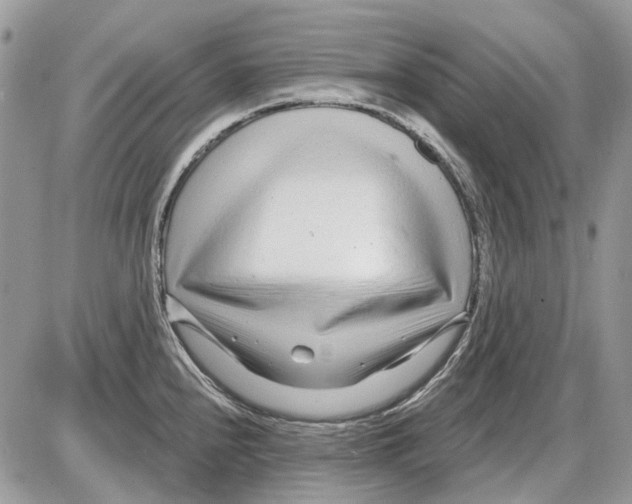 X0000086101240200704202233