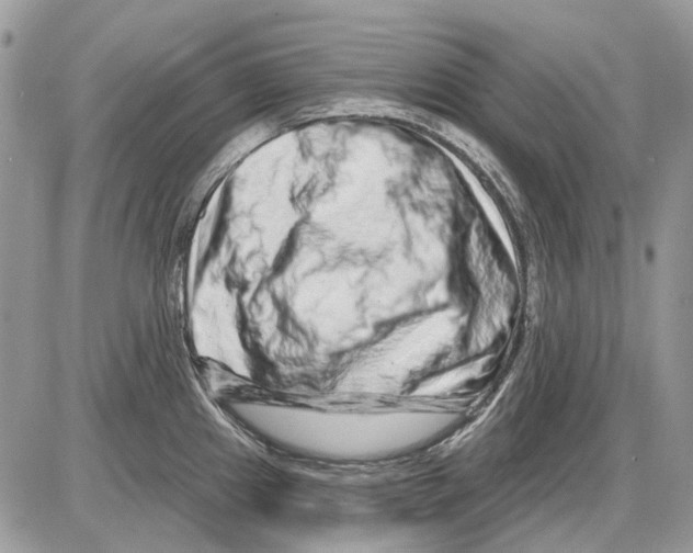 X0000086101241200704202233