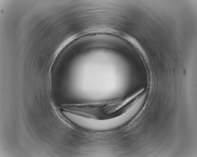 X0000086101242200704202233