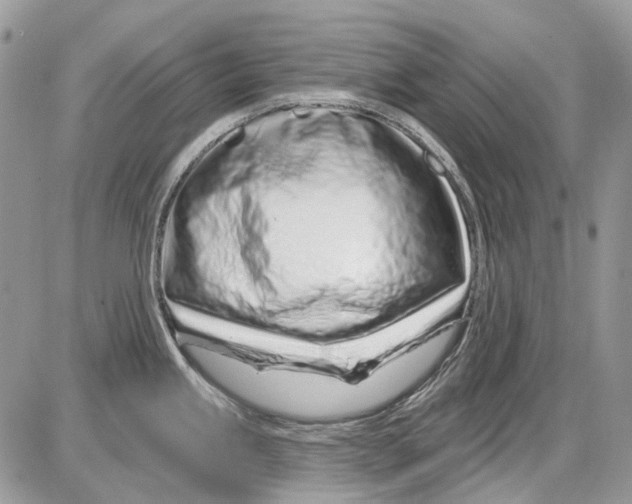 X0000086101245200704202233