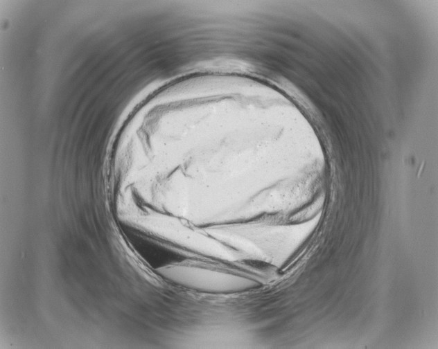X0000086101248200704202233