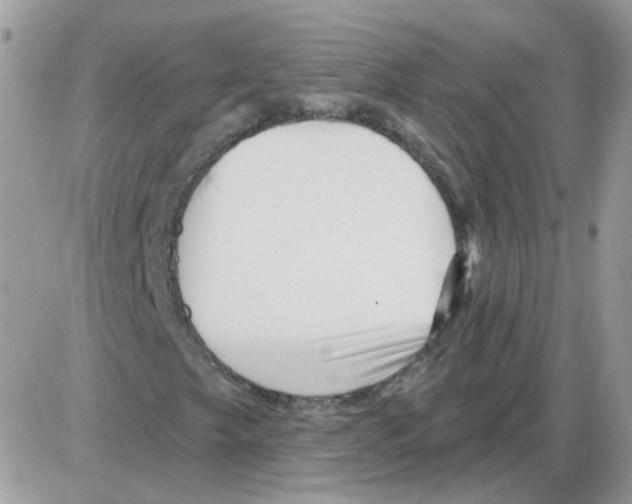 X0000086101249200704202232