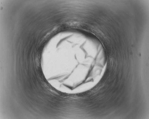 X0000086101250200704202232
