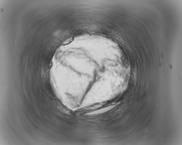 X0000086101251200704202232