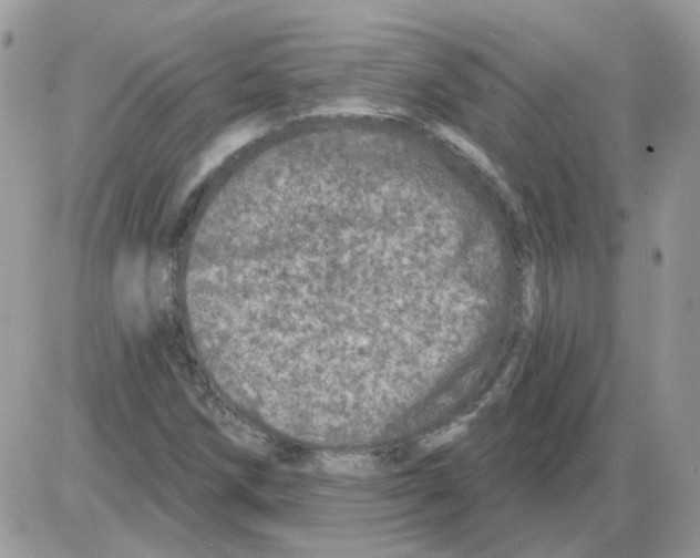 X0000086101258200704202232