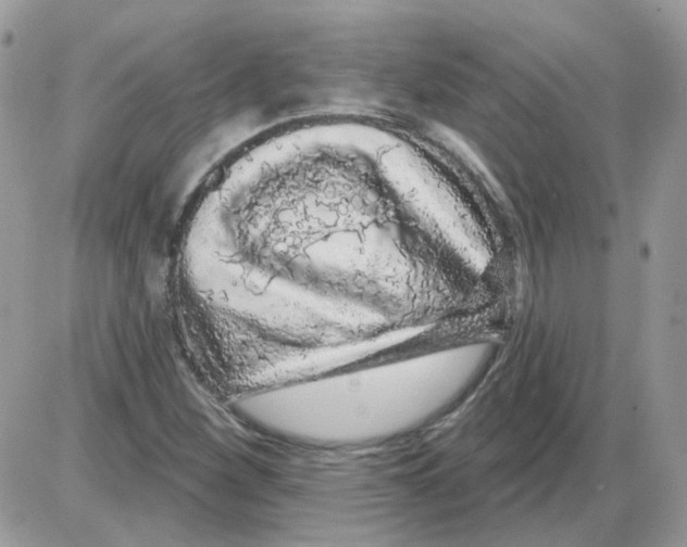 X0000086101260200704202232