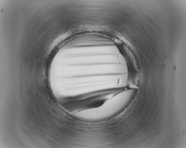 X0000086101261200704202232