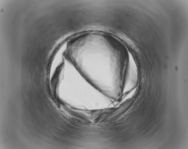 X0000086101264200704202232
