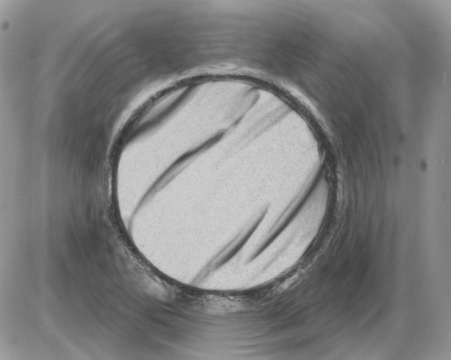 X0000086101270200704202232