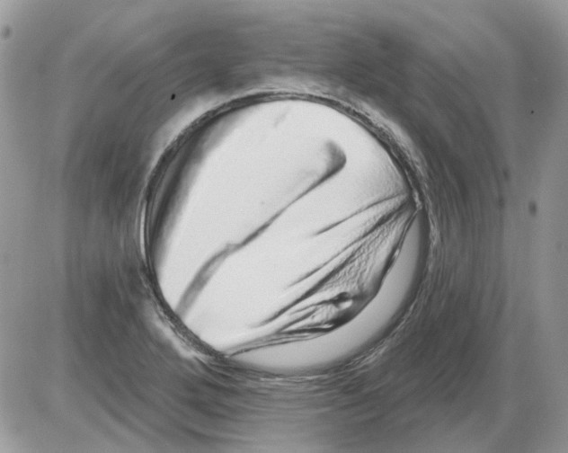 X0000086101272200704202232