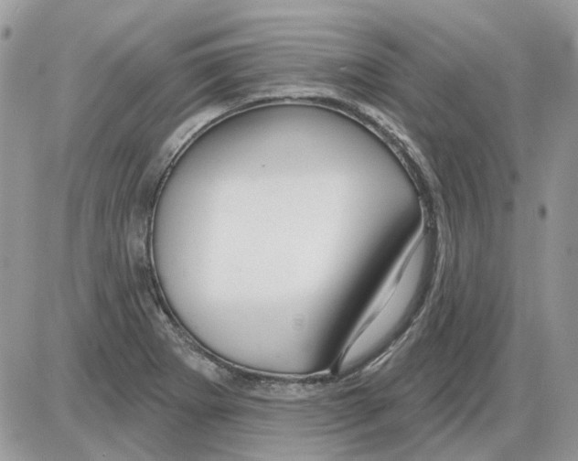 X0000086101273200704202232