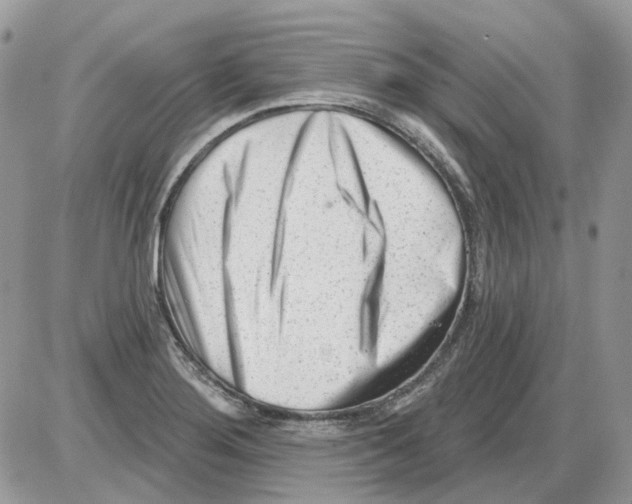 X0000086101276200704202232