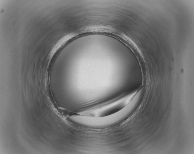 X0000086101277200704202232