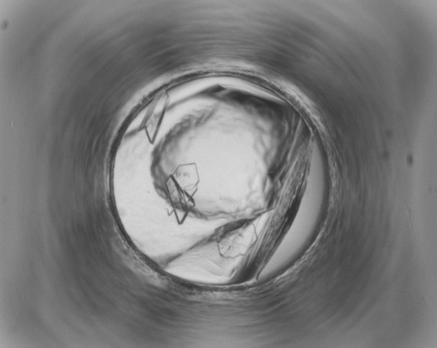 X0000086101280200704202232