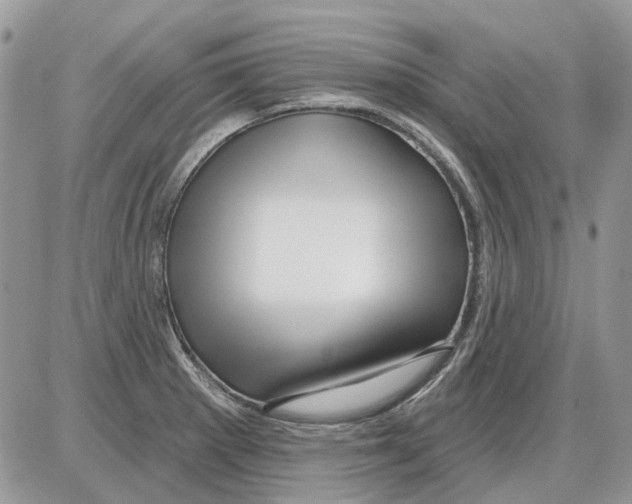 X0000086101281200704202232