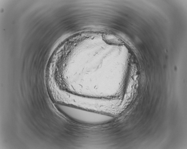 X0000086101283200704202232