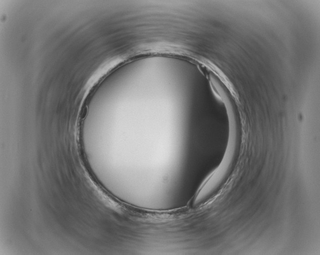 X0000086101285200704202232
