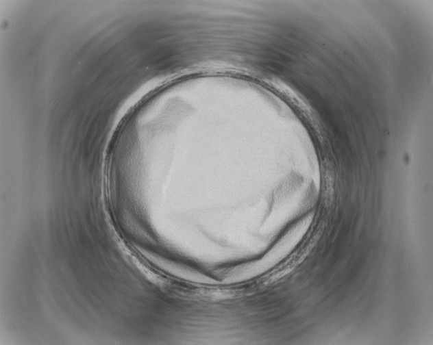 X0000086101286200704202232