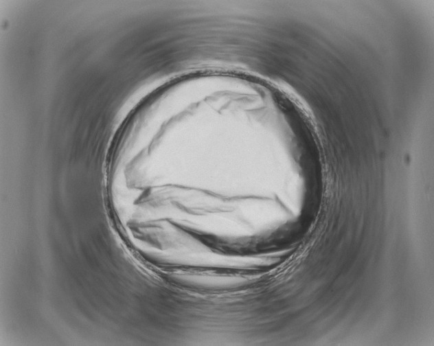 X0000086101287200704202232