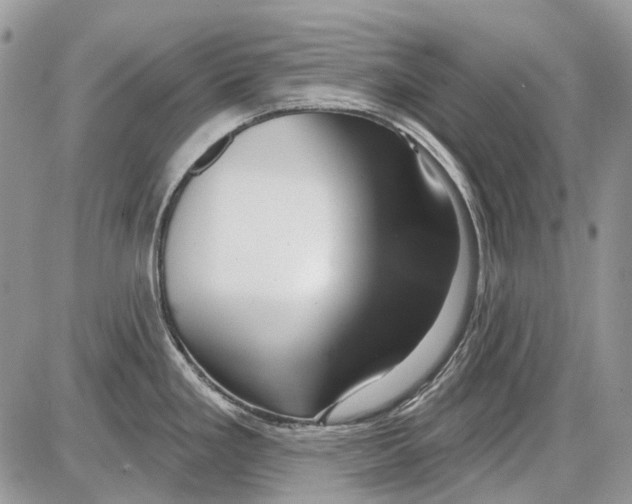 X0000086101293200704202232