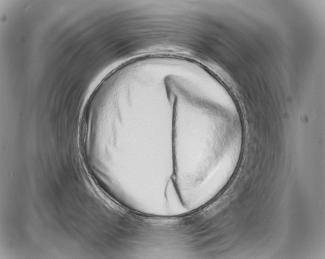 X0000086101296200704202231