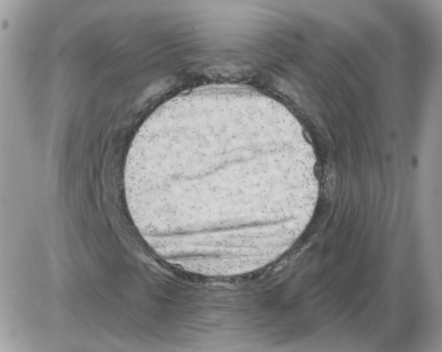 X0000086101297200704202231