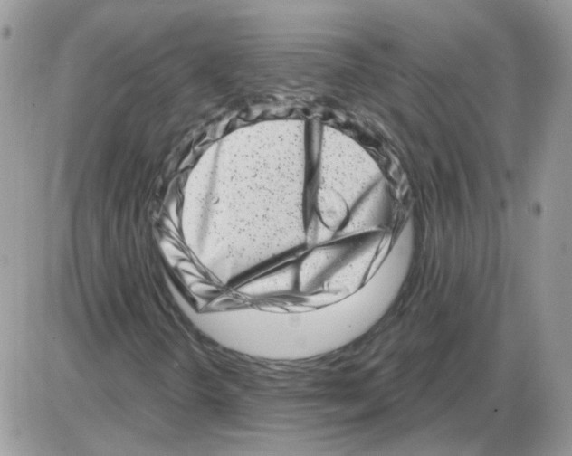 X0000086101298200704202231