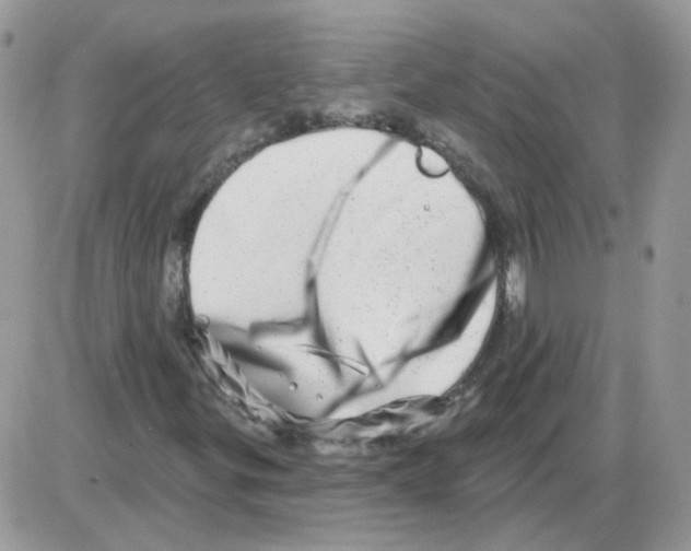 X0000086101299200704202231