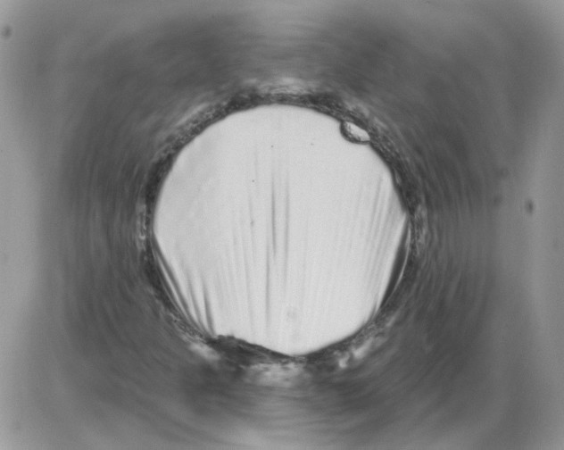 X0000086101301200704202231