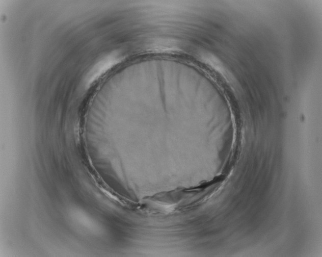 X0000086101306200704202231