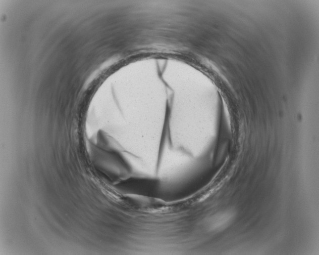 X0000086101307200704202231