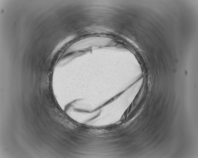 X0000086101309200704202231