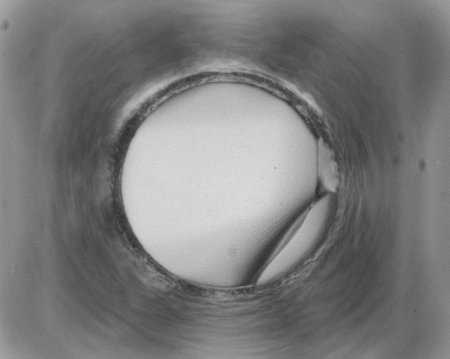 X0000086101311200704202231