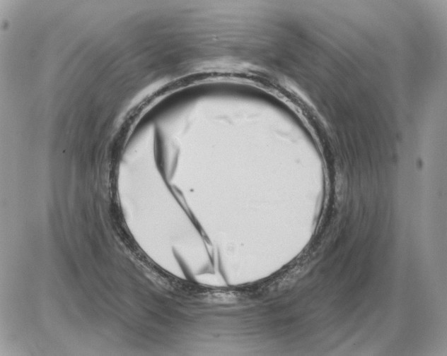 X0000086101315200704202231