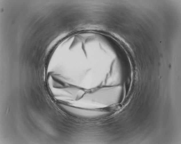 X0000086101317200704202231