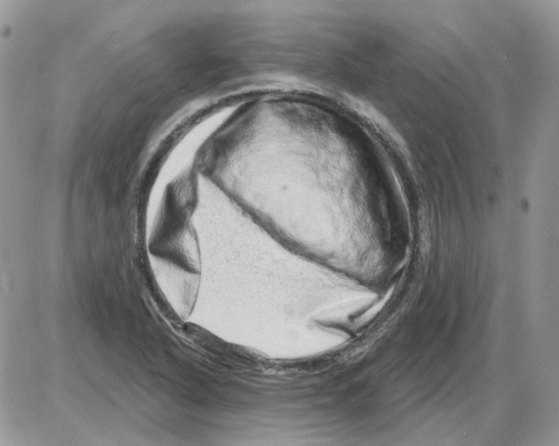 X0000086101318200704202231