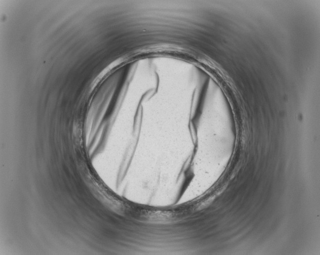X0000086101321200704202231