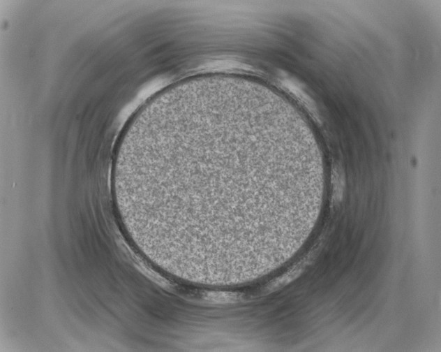 X0000086101322200704202231