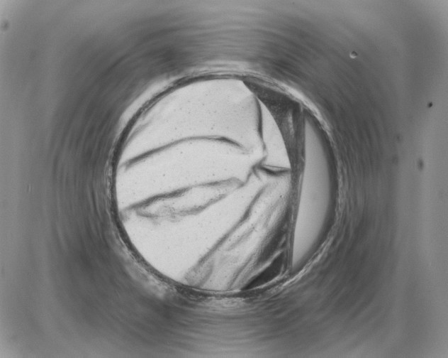 X0000086101325200704202231