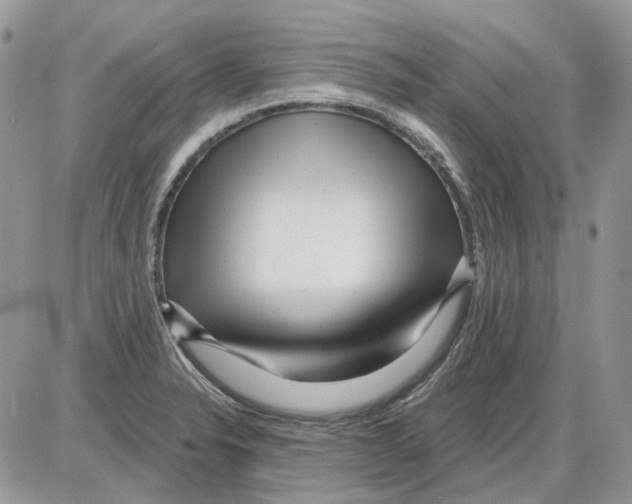 X0000086101326200704202231