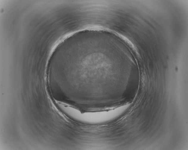 X0000086101327200704202231