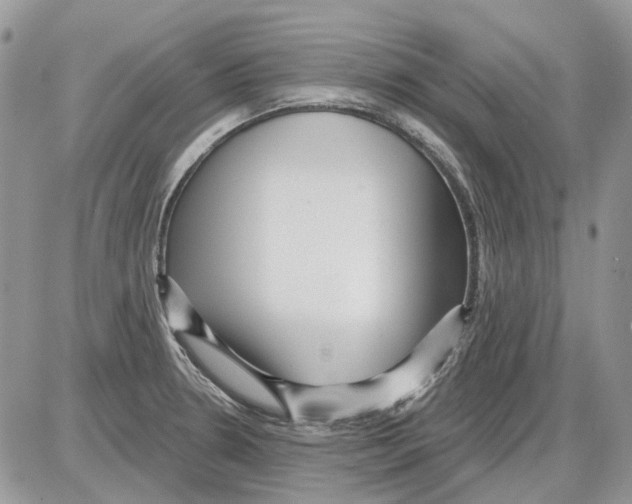 X0000086101330200704202231