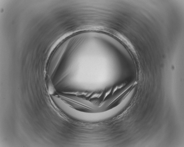 X0000086101332200704202231