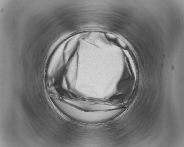 X0000086101333200704202231