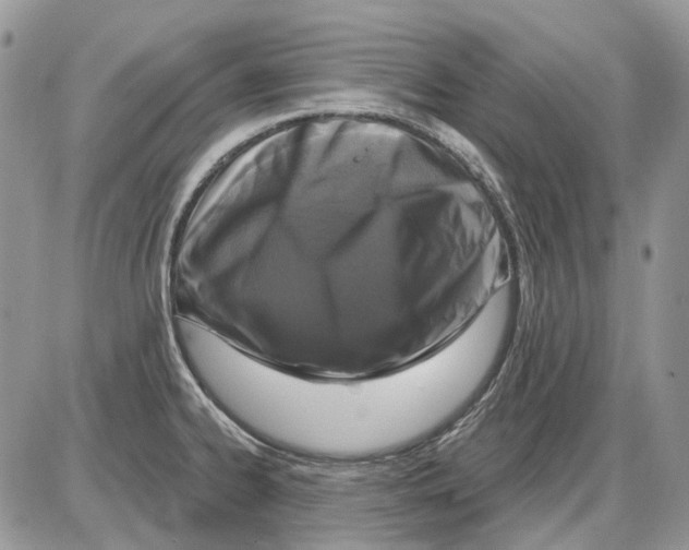 X0000086101334200704202231