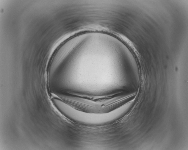 X0000086101335200704202231