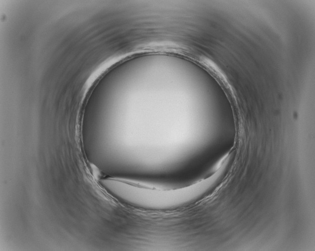 X0000086101336200704202231