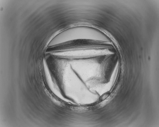 X0000086101337200704202231