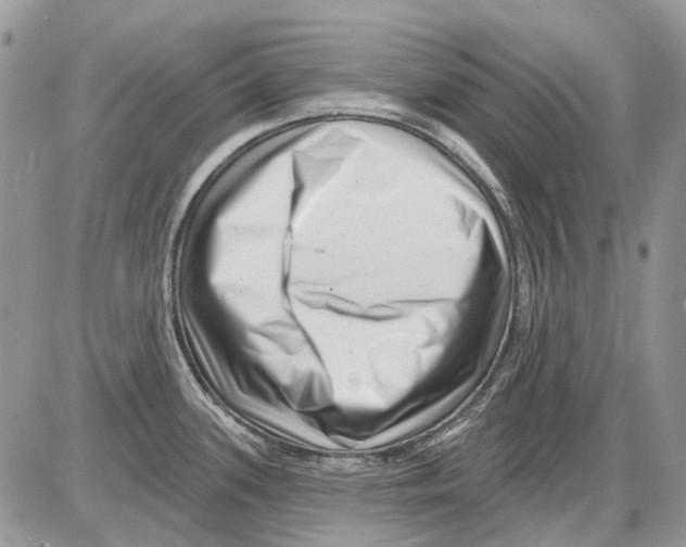 X0000086101339200704202231