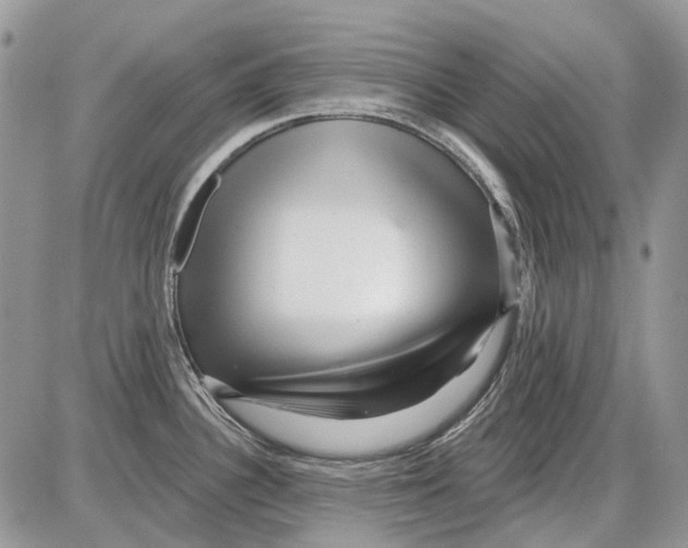 X0000086101340200704202231